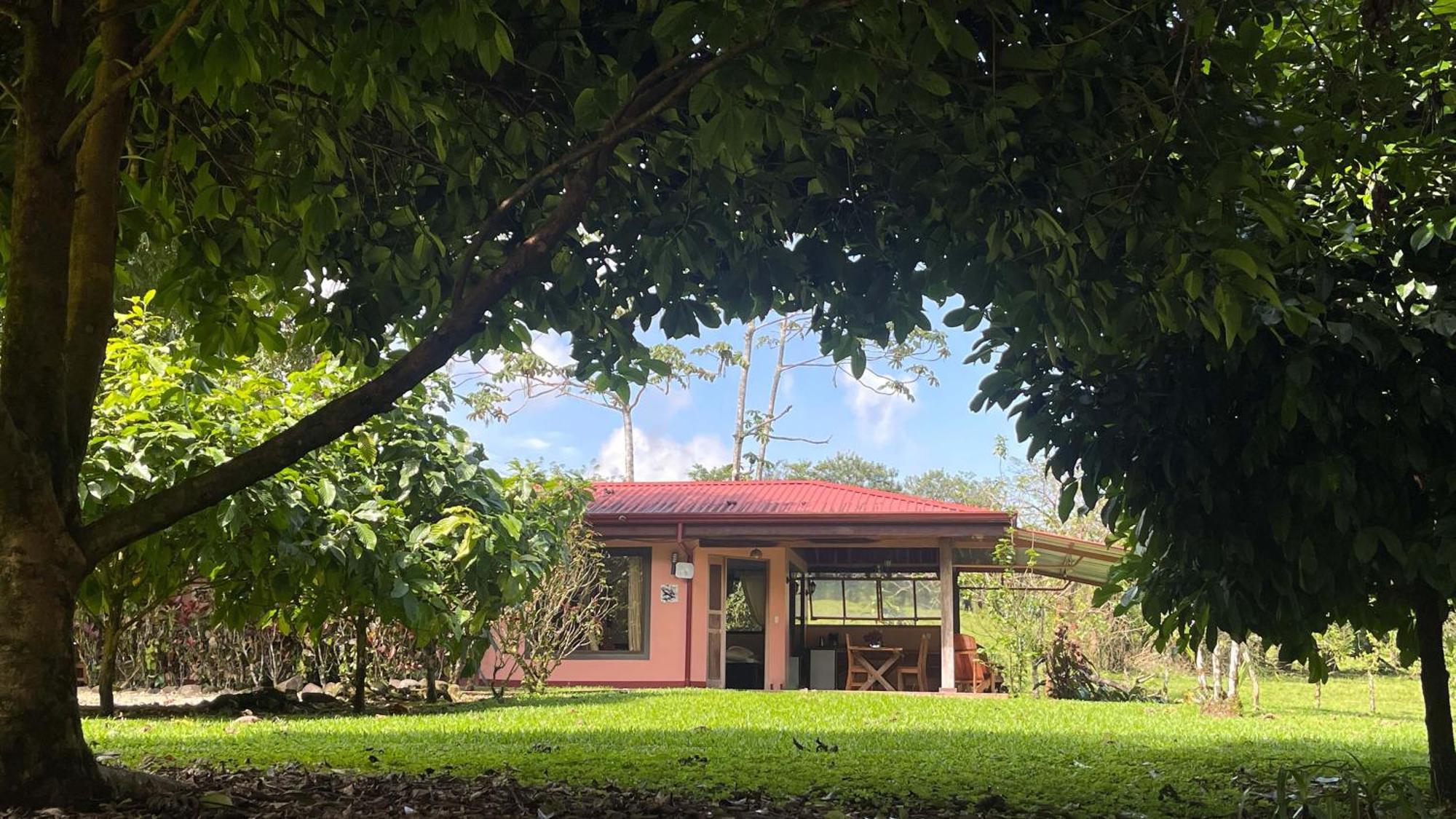 Mei Tai Cacao Lodge บิฆากัว ภายนอก รูปภาพ