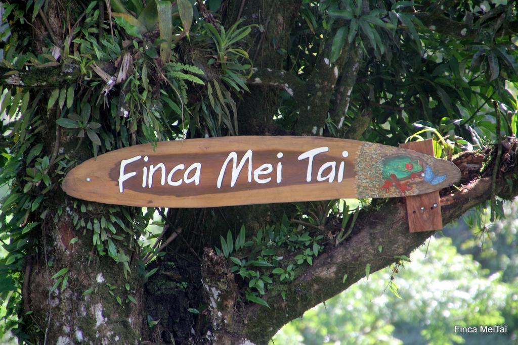 Mei Tai Cacao Lodge บิฆากัว ภายนอก รูปภาพ