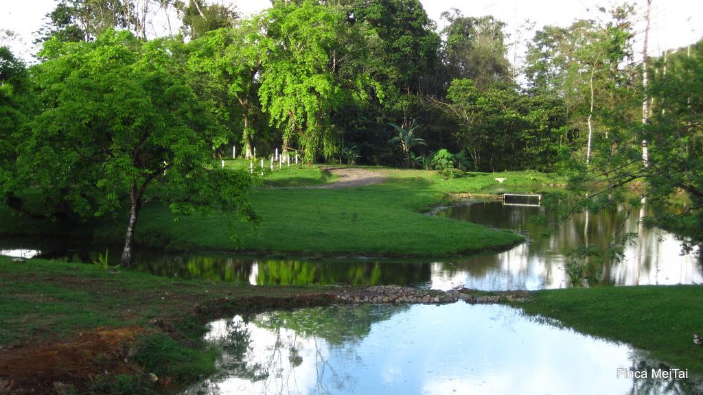 Mei Tai Cacao Lodge บิฆากัว ภายนอก รูปภาพ