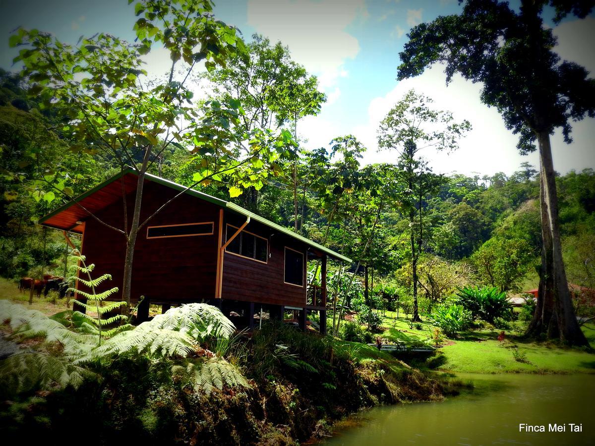 Mei Tai Cacao Lodge บิฆากัว ภายนอก รูปภาพ