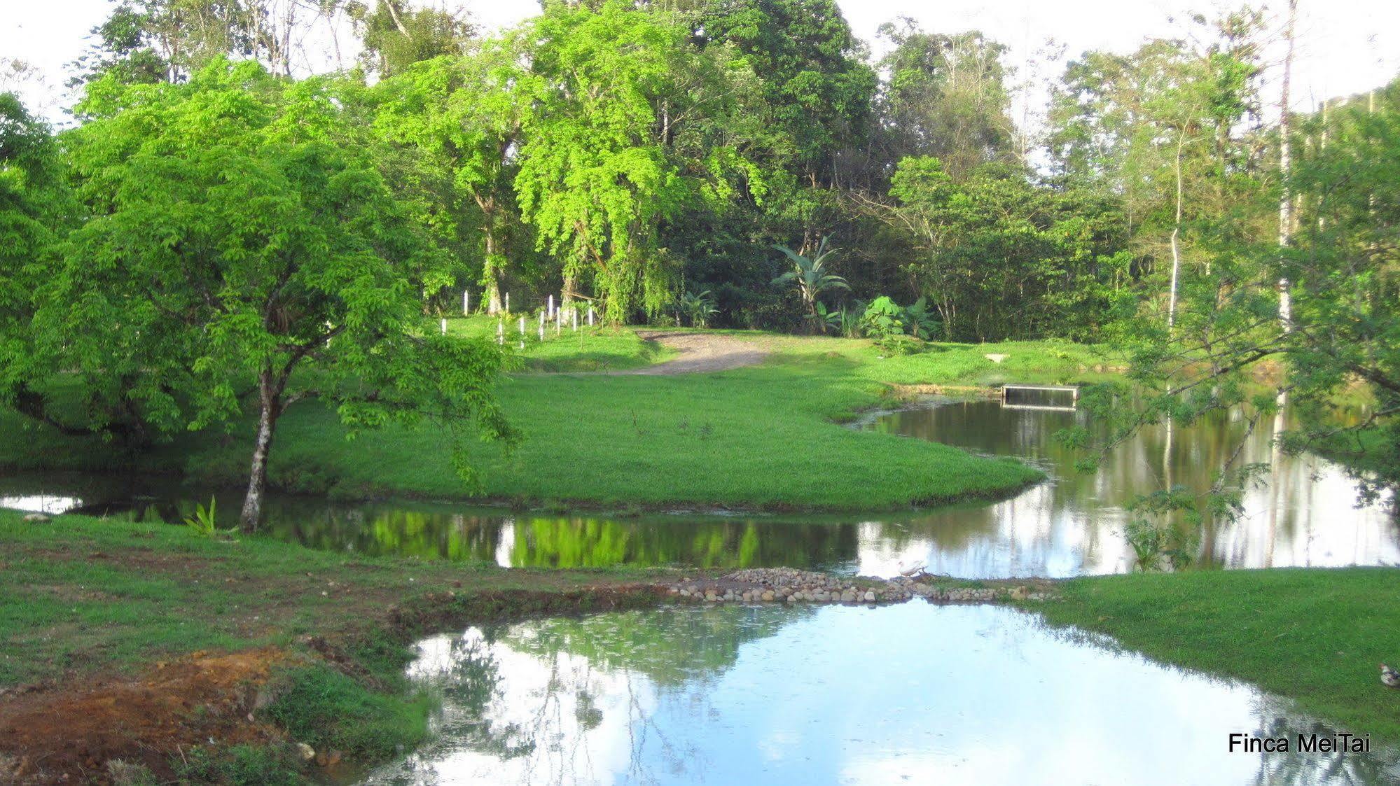 Mei Tai Cacao Lodge บิฆากัว ภายนอก รูปภาพ