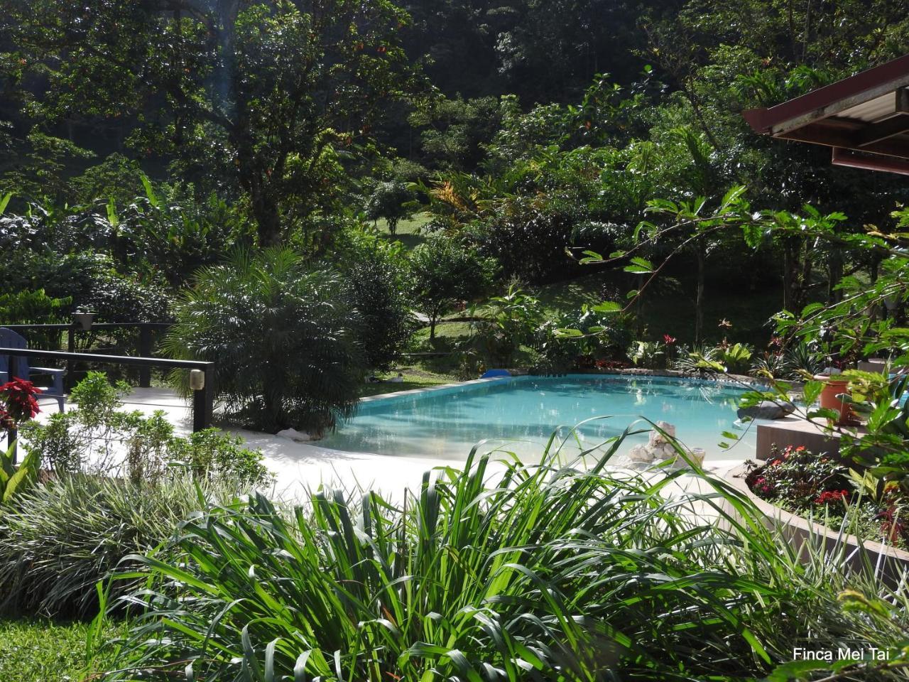 Mei Tai Cacao Lodge บิฆากัว ภายนอก รูปภาพ