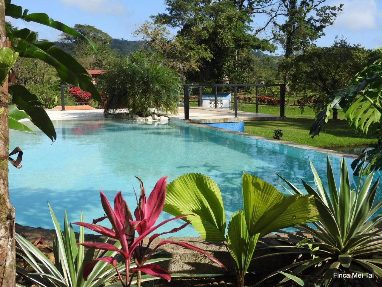 Mei Tai Cacao Lodge บิฆากัว ภายนอก รูปภาพ